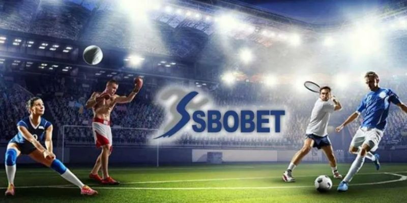 Bỏ túi kinh nghiệm đặt tiền chuẩn xác từ chuyên gia SBOBET Ko66